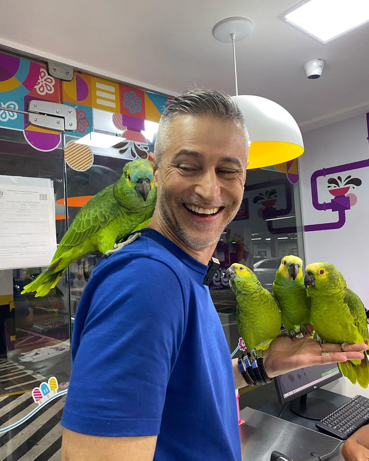 Reputable Parrot Breeders in Spain: Top 9 Picks
