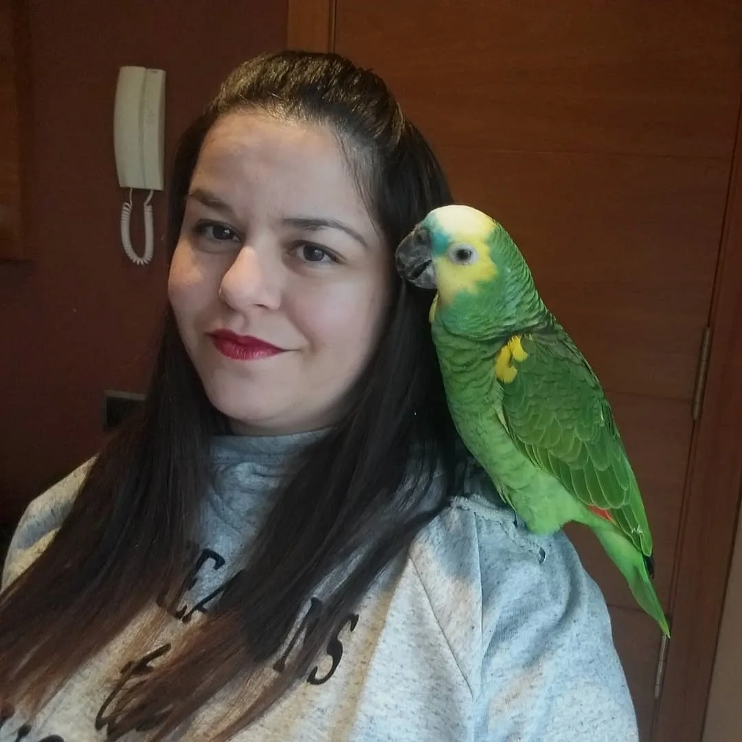 10 Must-Follow Budgerigar Bird Breeders on Facebook: Discover the Ultimate Avian Enthusiast’s Guide