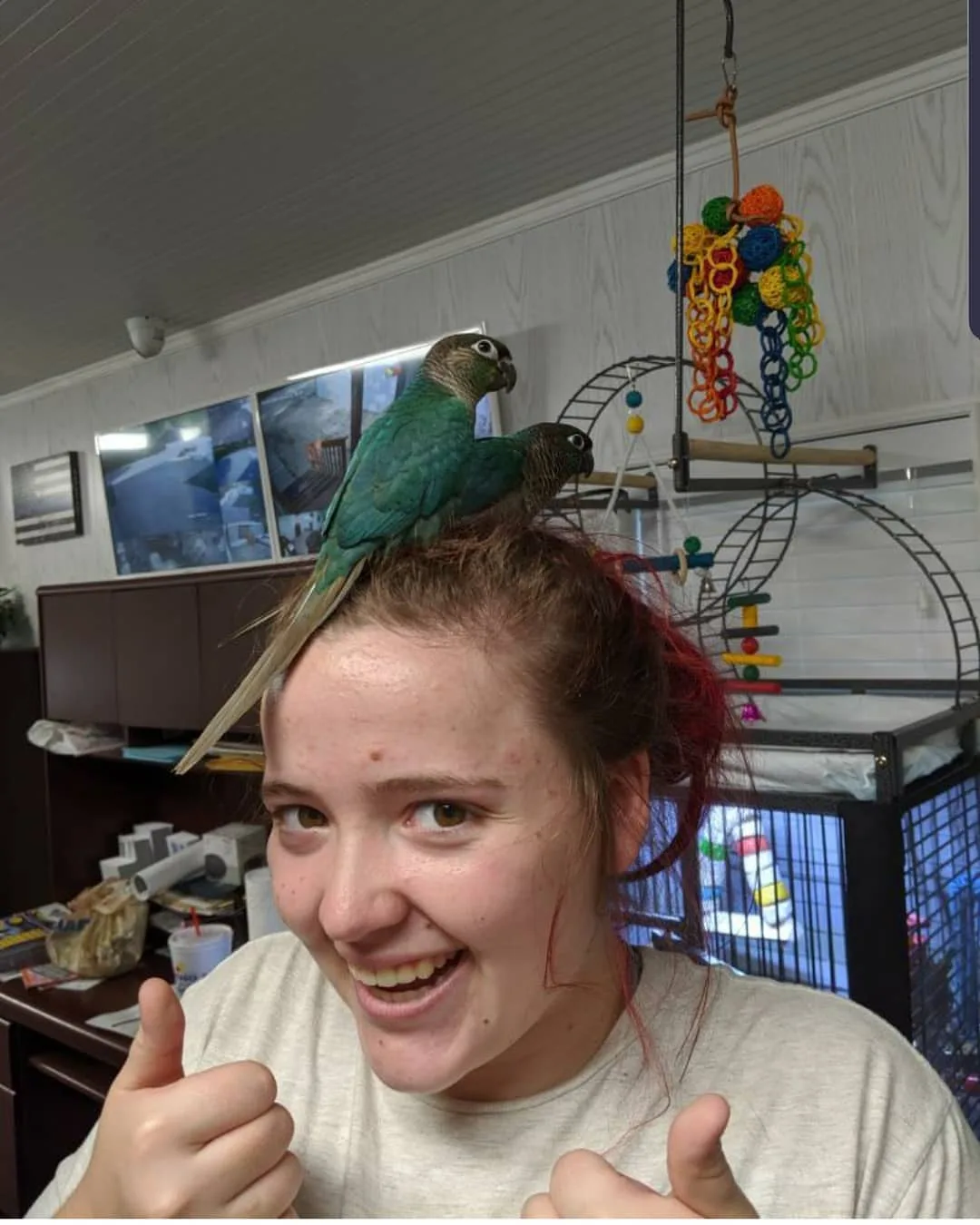 Parrot Training Clicker: Master it in 7 Easy Steps!