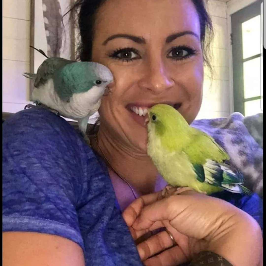 Find Reputable Parrot Breeders: 10 Essential Tips