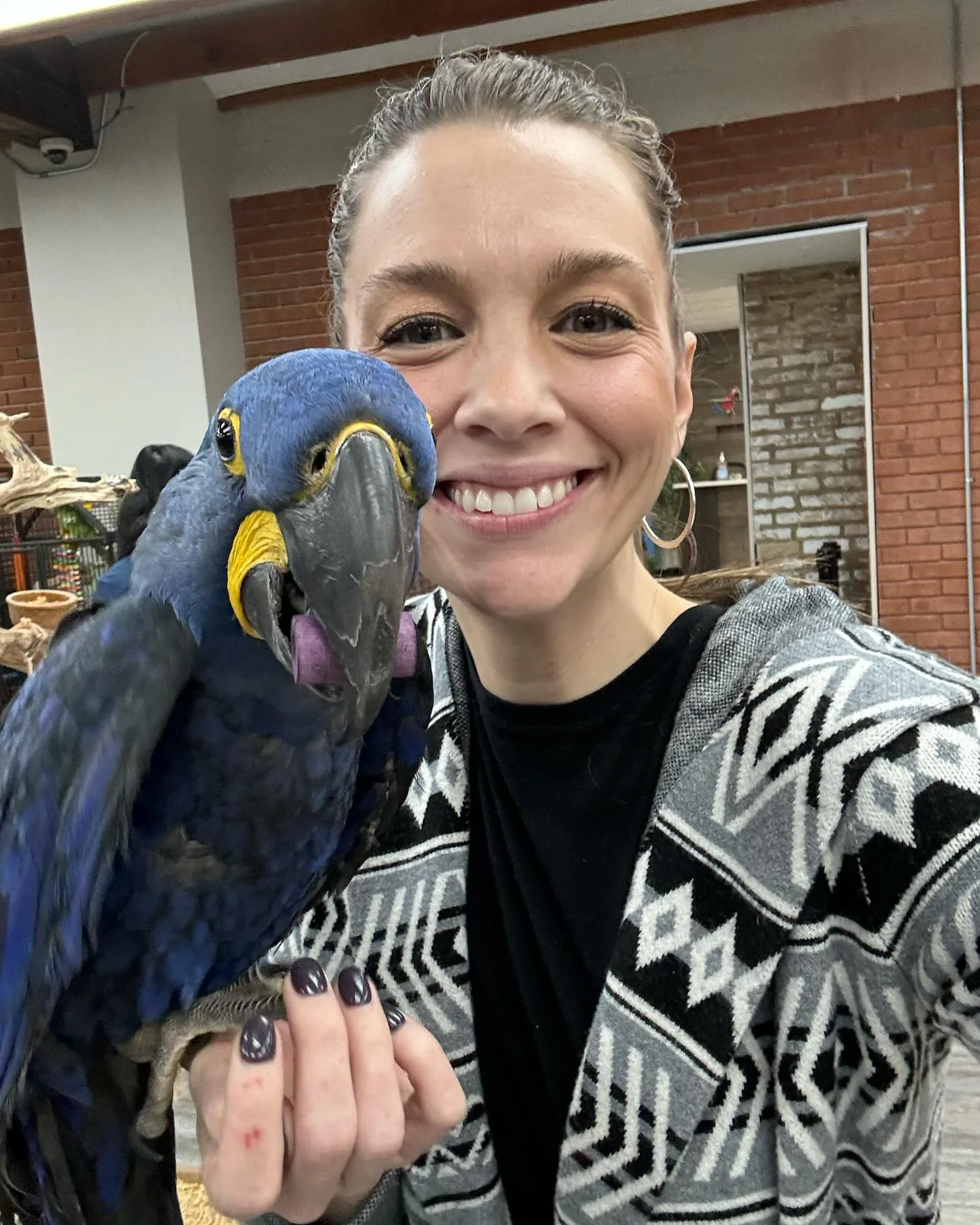 Parrot Training Treats: 7 Irresistible Delights!
