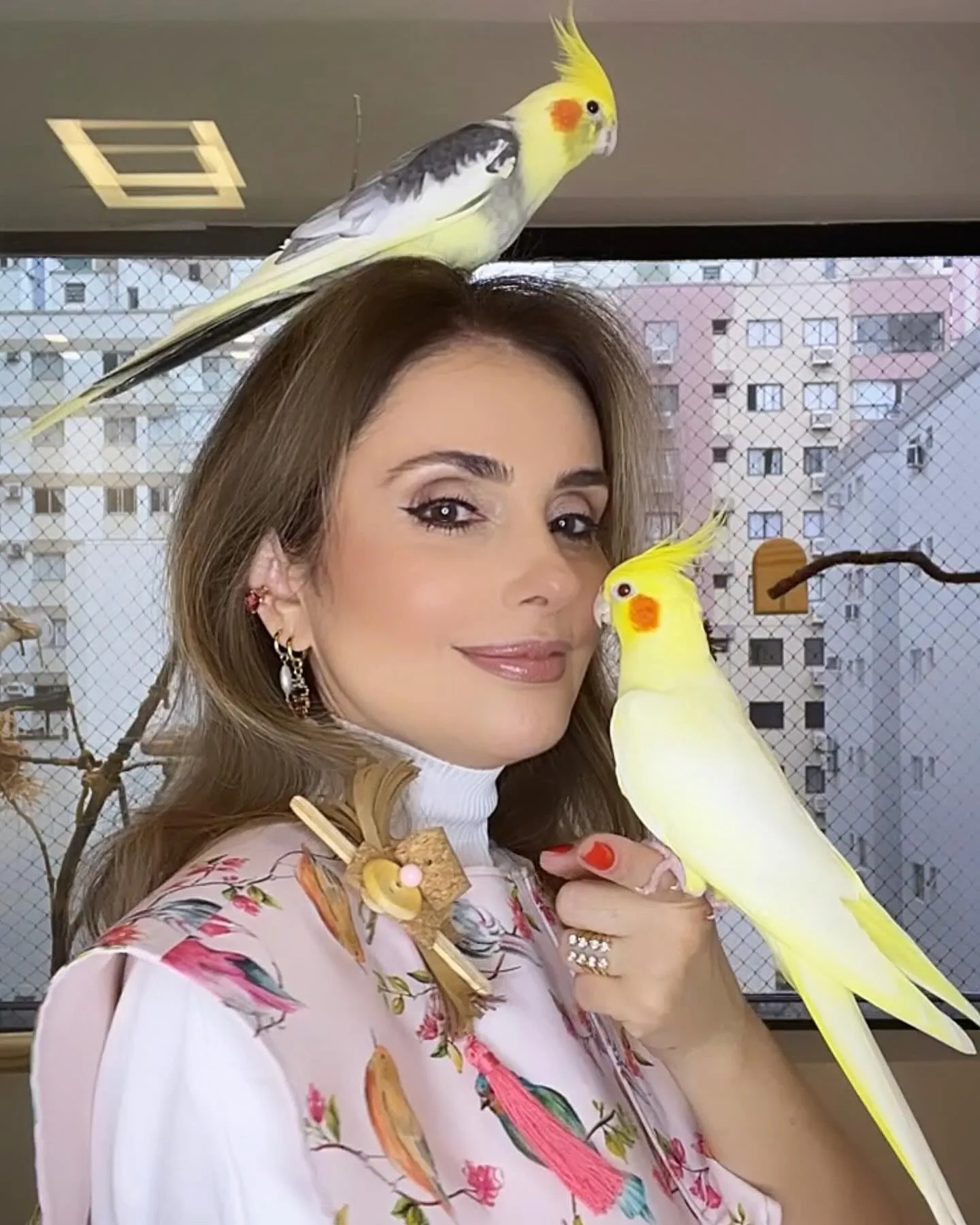 Reputable Parrot Breeders in Germany: Top 9 Picks