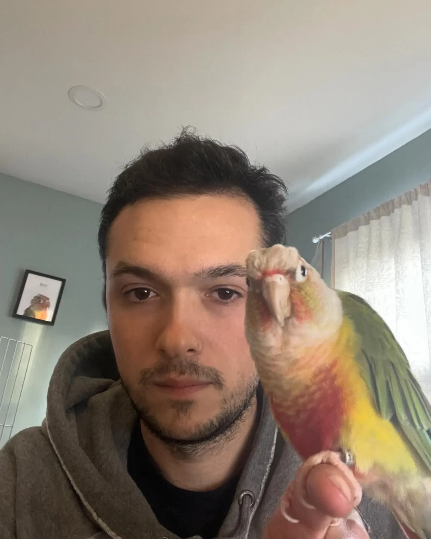 Baby Pionus Parrot Care: 10 Tips for Health & Happiness