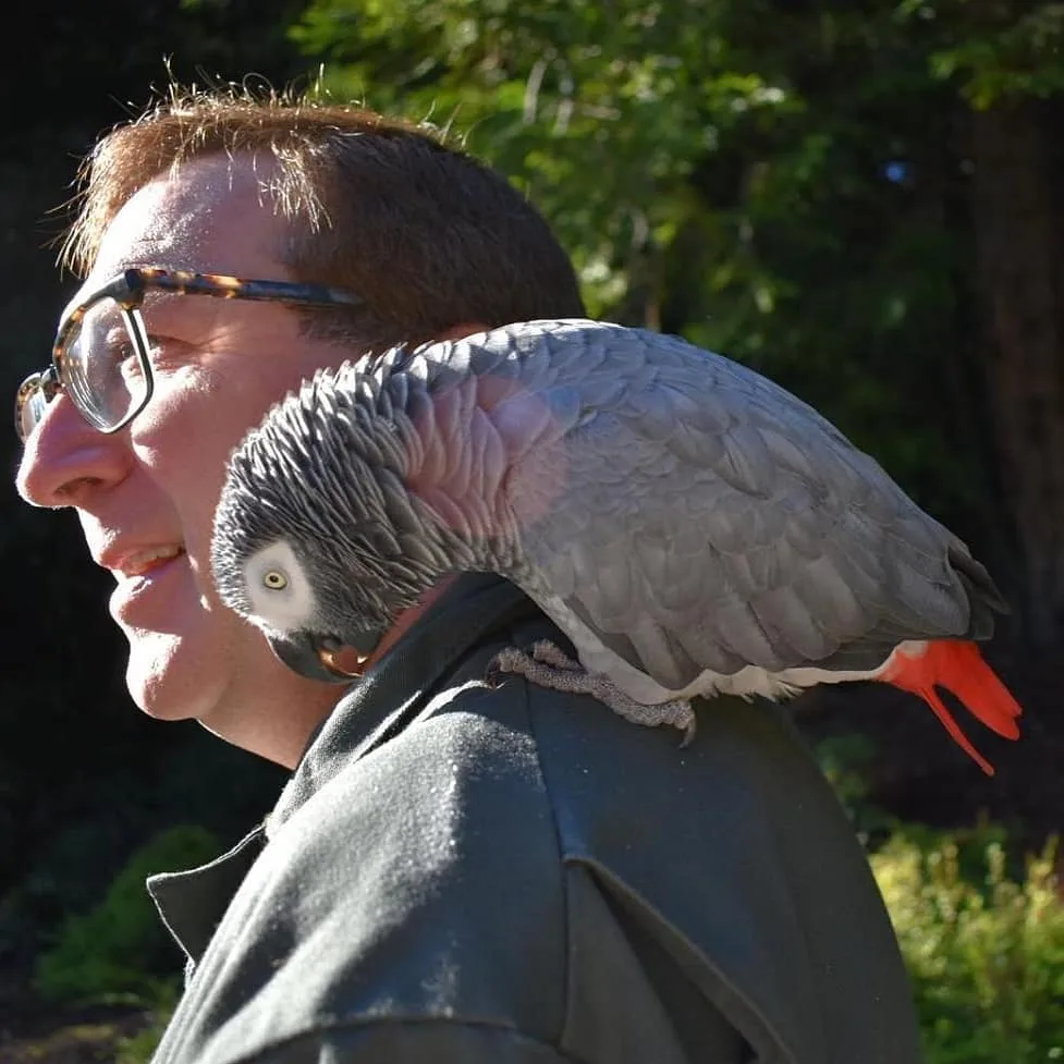 Parrot Health Checks: 10 Vital Must-Knows