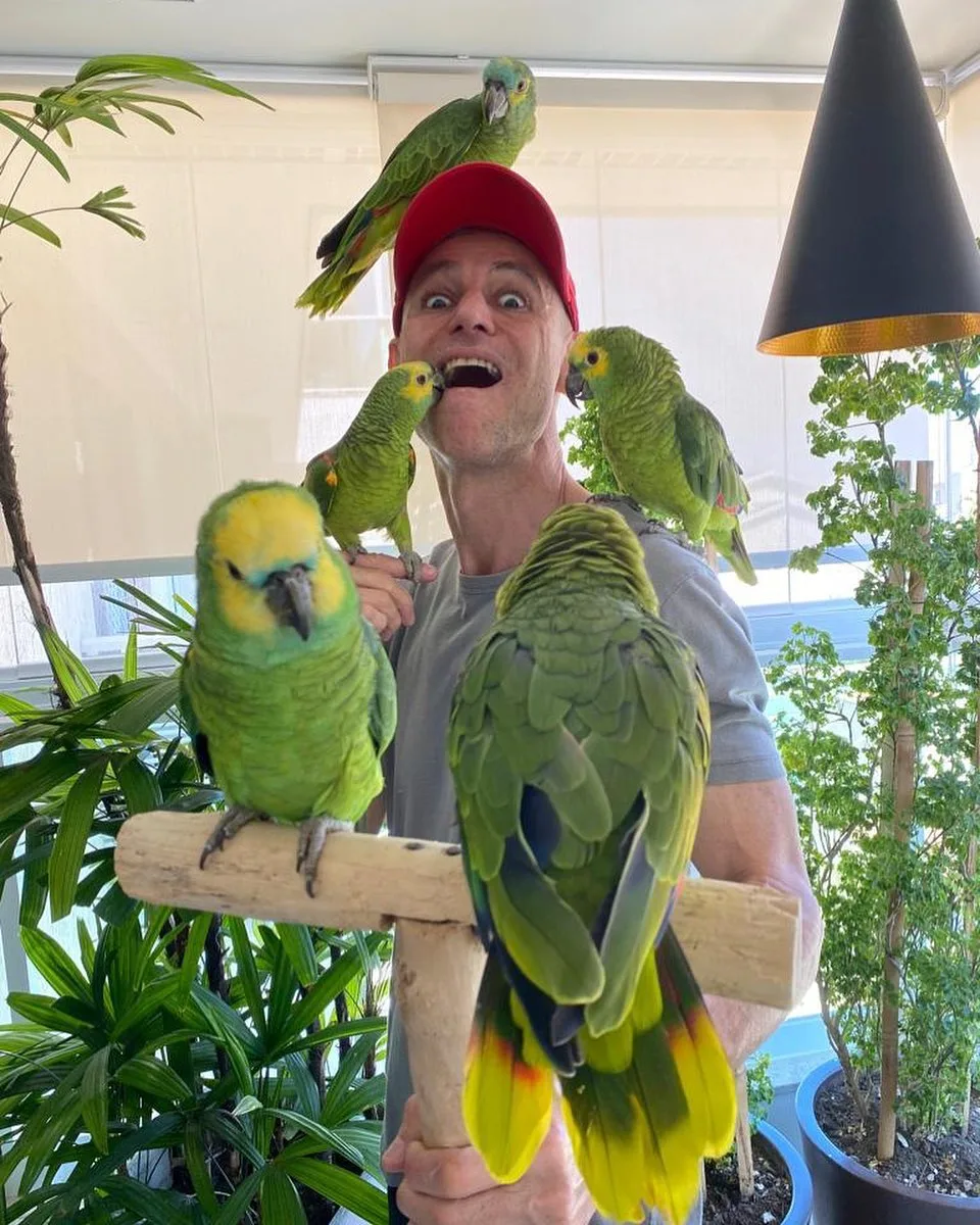 Amazon Parrot Training: 10 Pro Tips