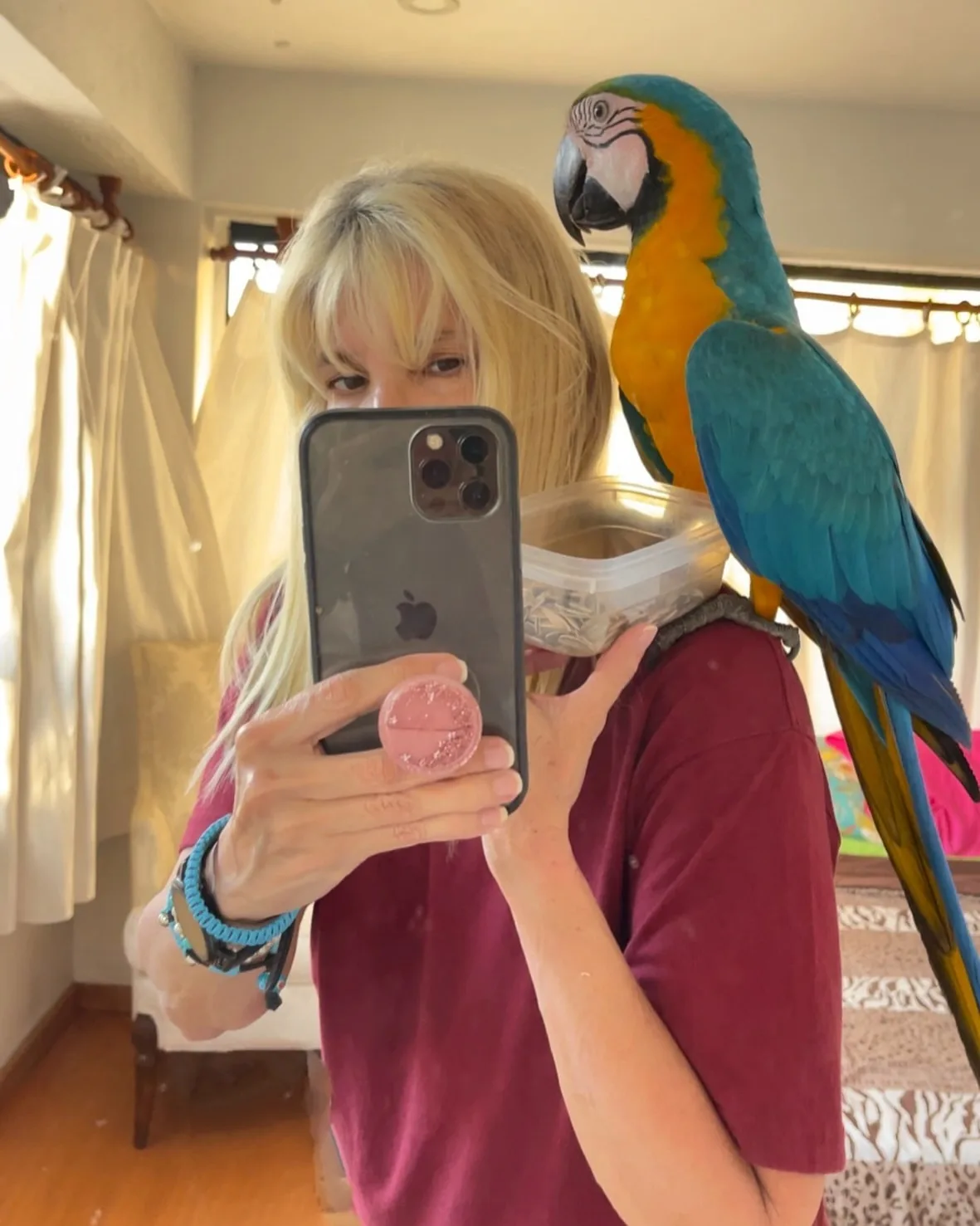 Parrots for Sale in Oklahoma: Top 15 Bird Spots