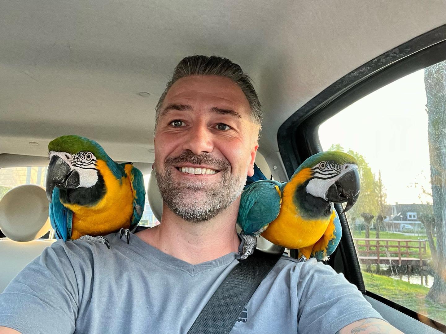 Hispaniolan Amazon Parrot: 10 Surprising Facts You Didn’t Know!