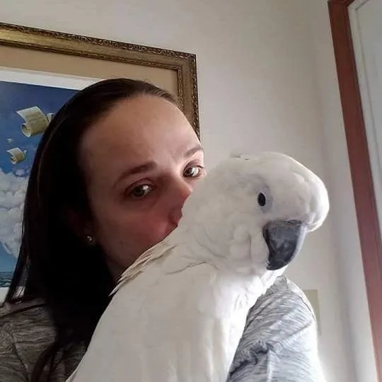 Parrots for Sale in Wyoming: Top 15 Vibrant Locations