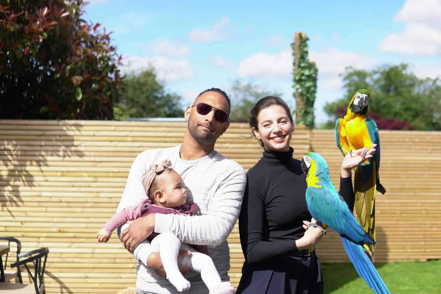 10 Fascinating Facts About the Red Macaw Parrot