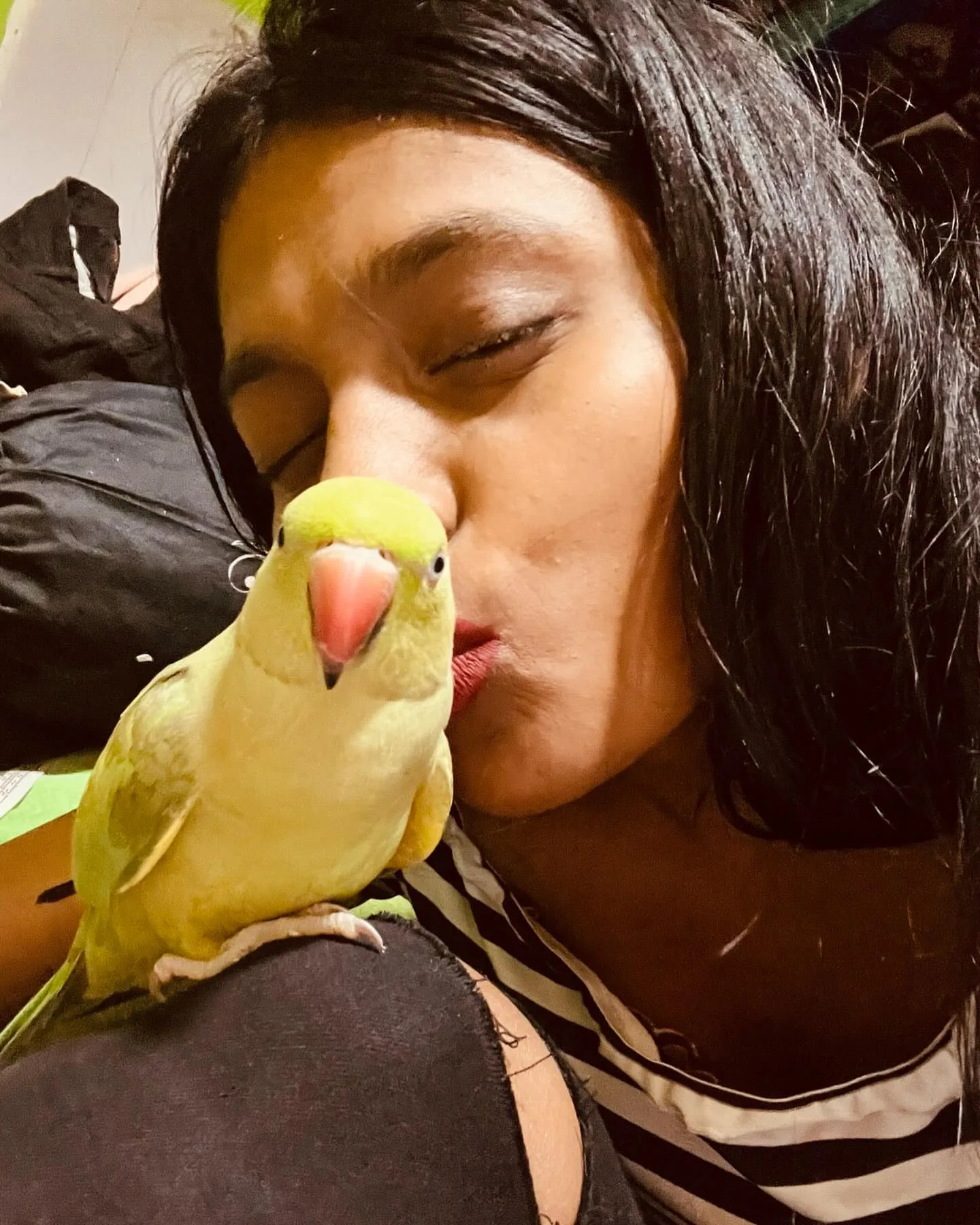 Yellow Headed Amazon Parrot: 10 Fascinating Facts