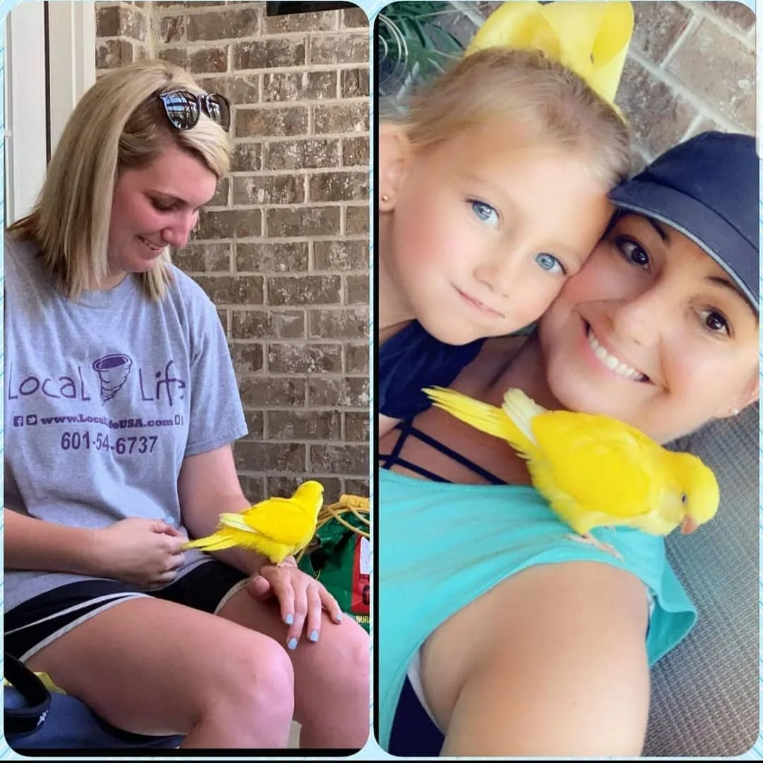 Discover 11 Reputable Canary Bird Breeders