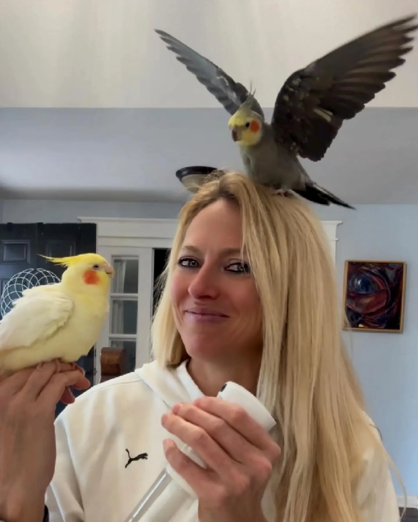 Budgie Bird Parakeet Owner’s Guide: 10 Essential Tips