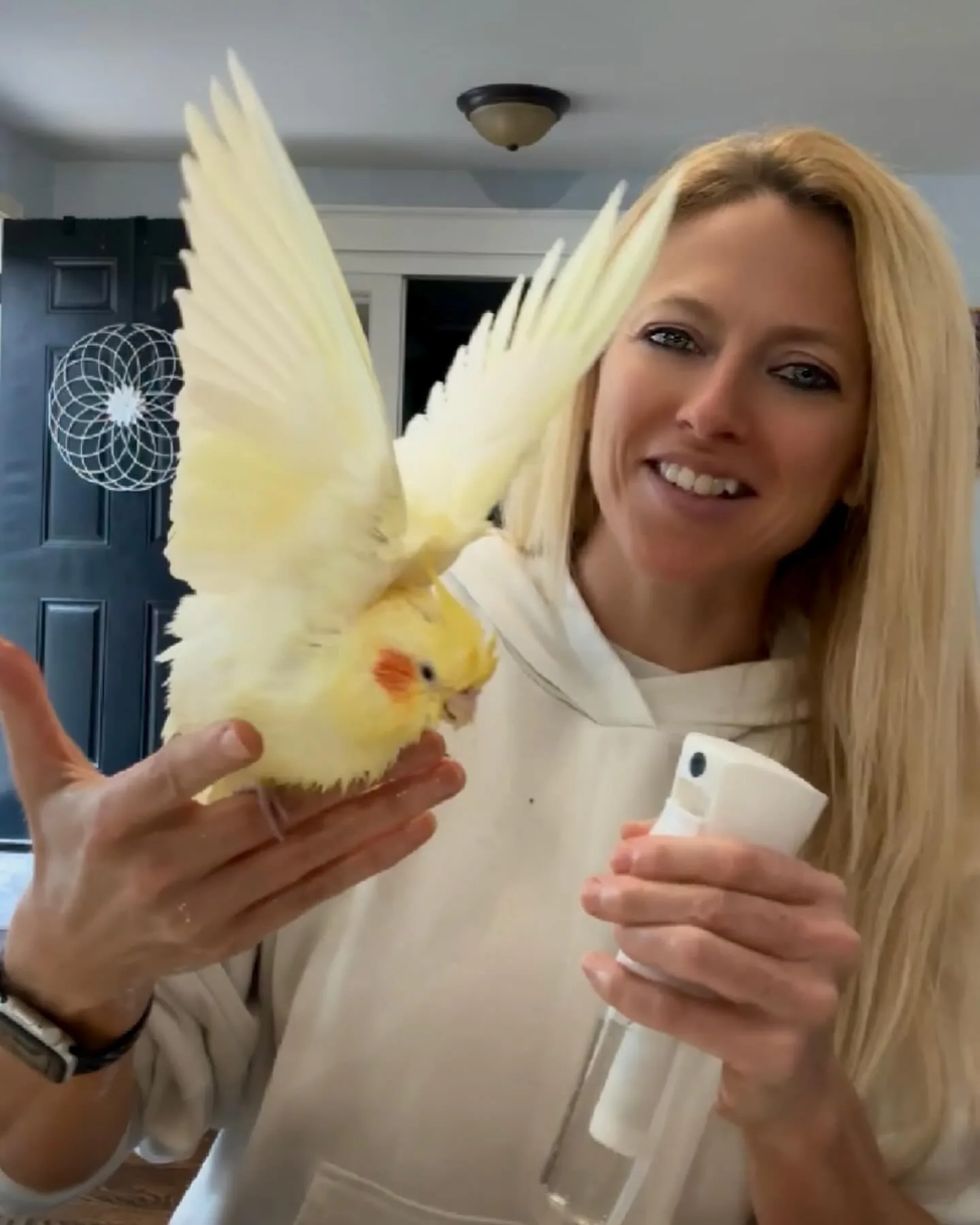 Albino Cockatiel Bird: 10 Mind-Blowing Facts!