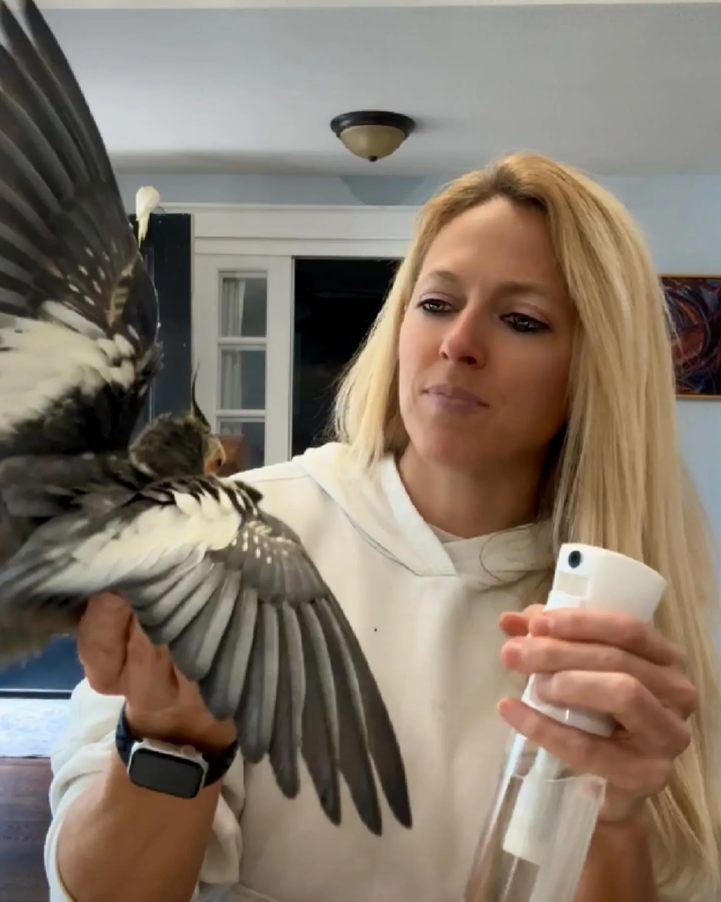 Discover 10 Surprising Facts About White Crowned Pionus Parrots