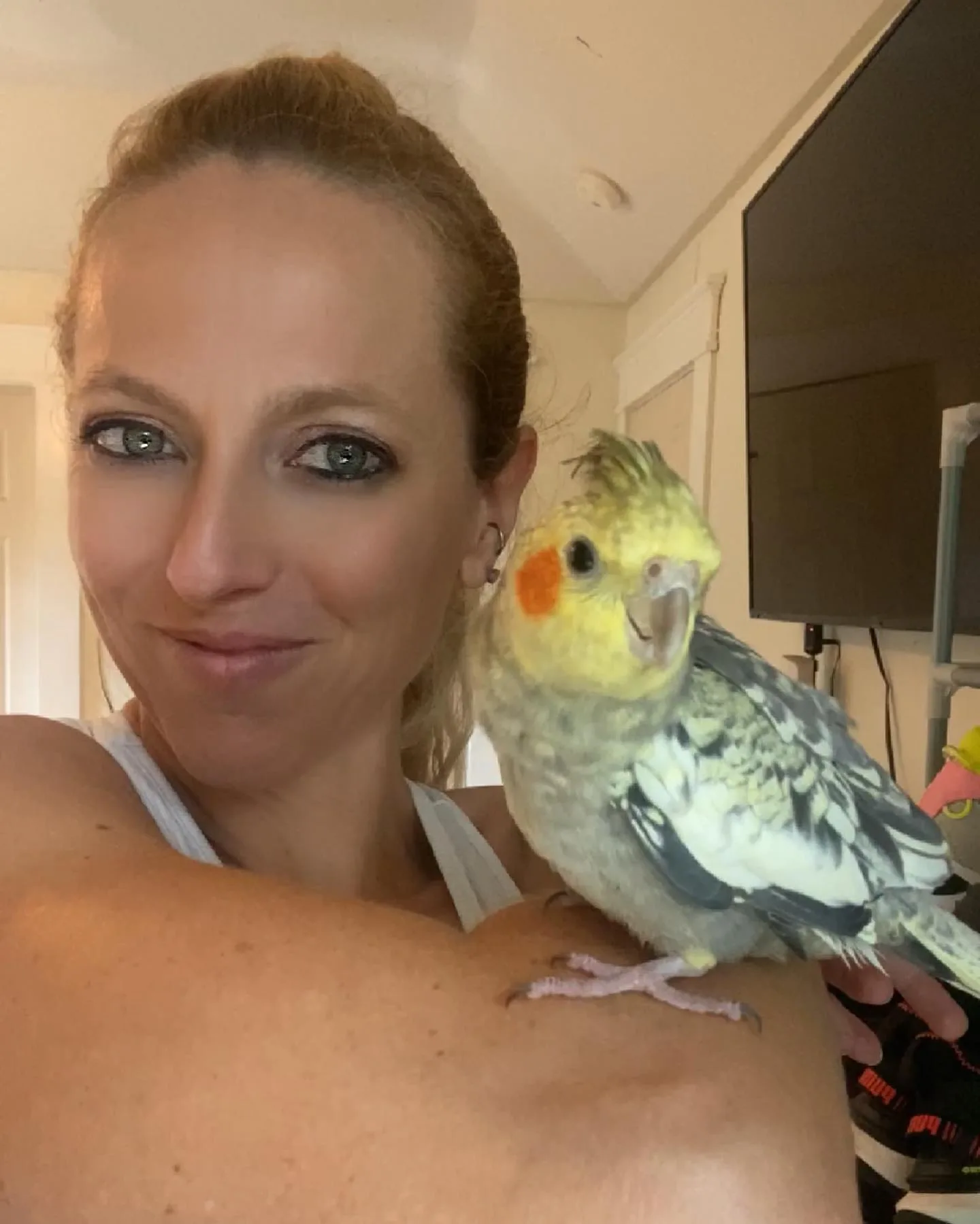 10 Facts About Pionus Parrots Every Bird Lover Should Know!