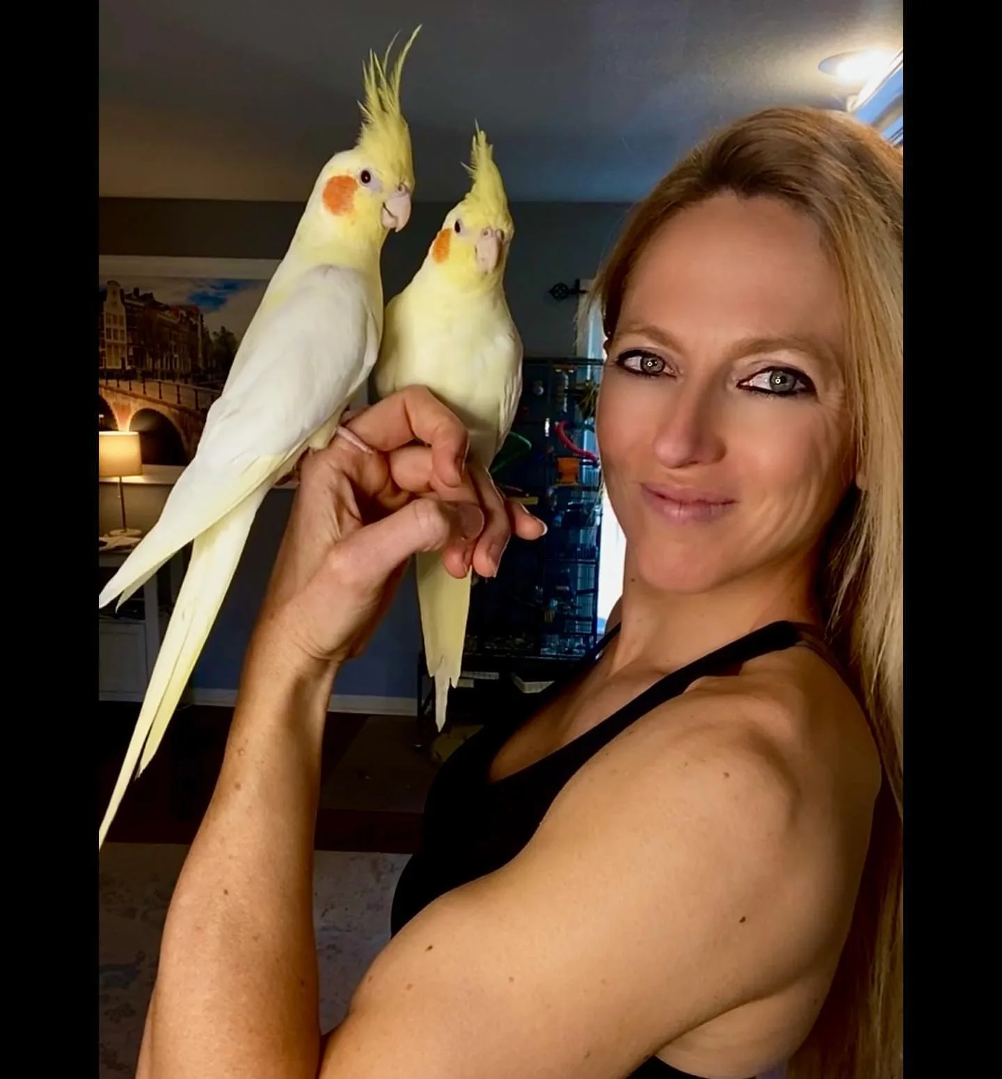 Facts About Conures Parrots: 10 Surprising Revelations!