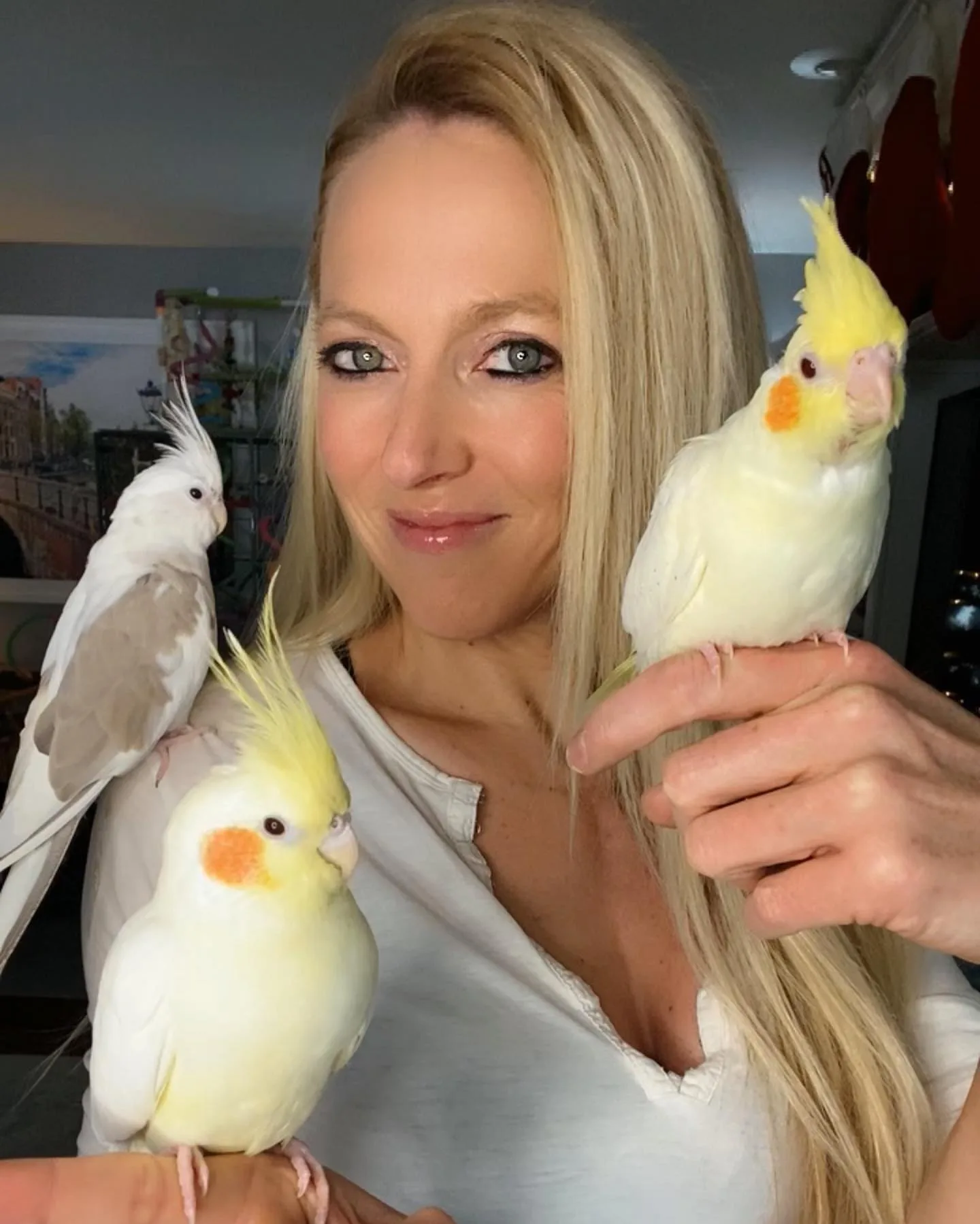 White Quaker Parrot: 10 Fascinating Facts You Must Know!