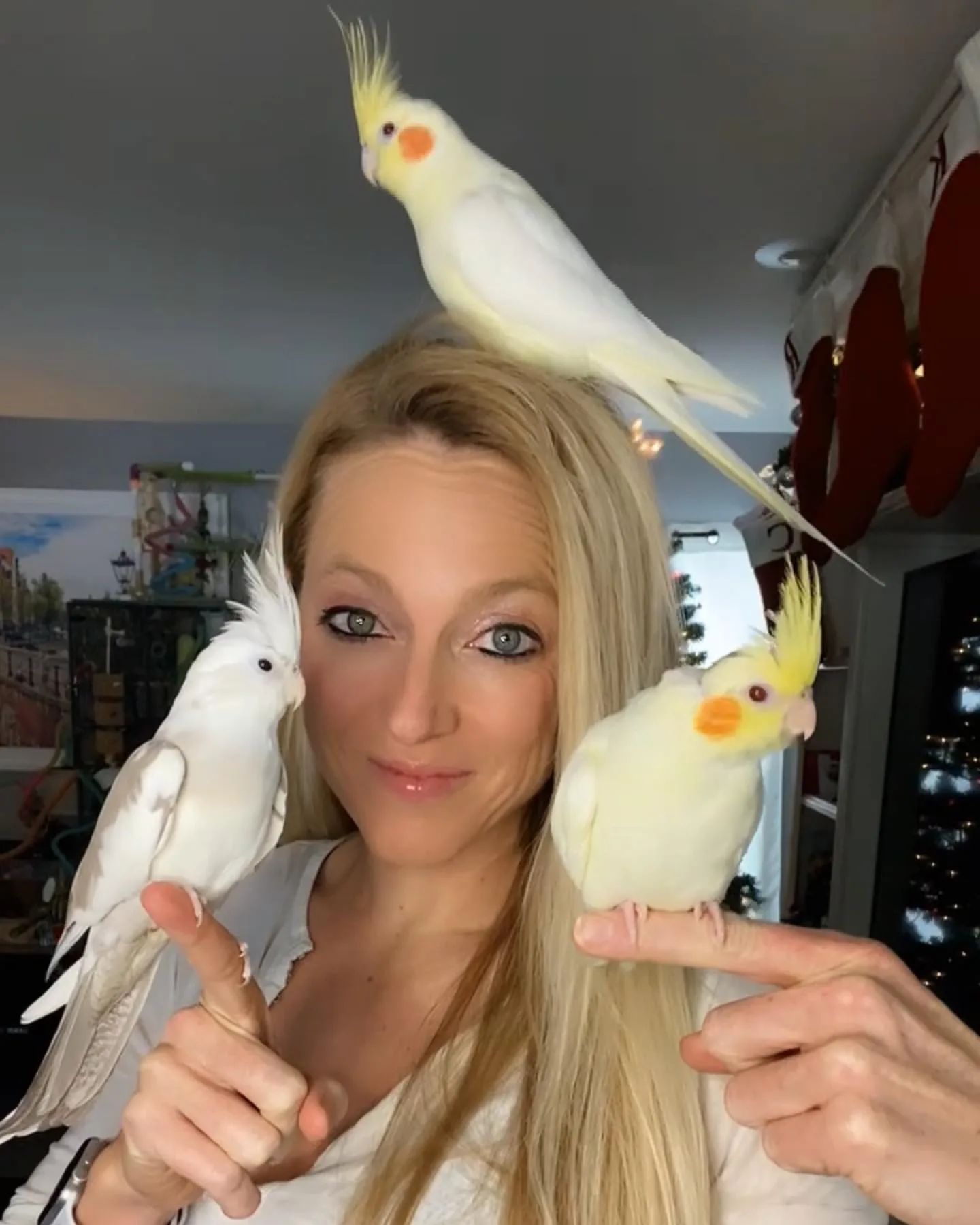Small Parrot Species: 10 Charming Birds to Brighten Your Home