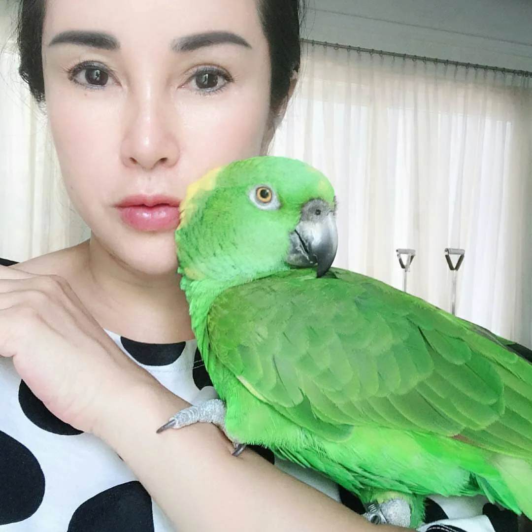 Parrots for Sale in Washington: Top 15 Vibrant Spots