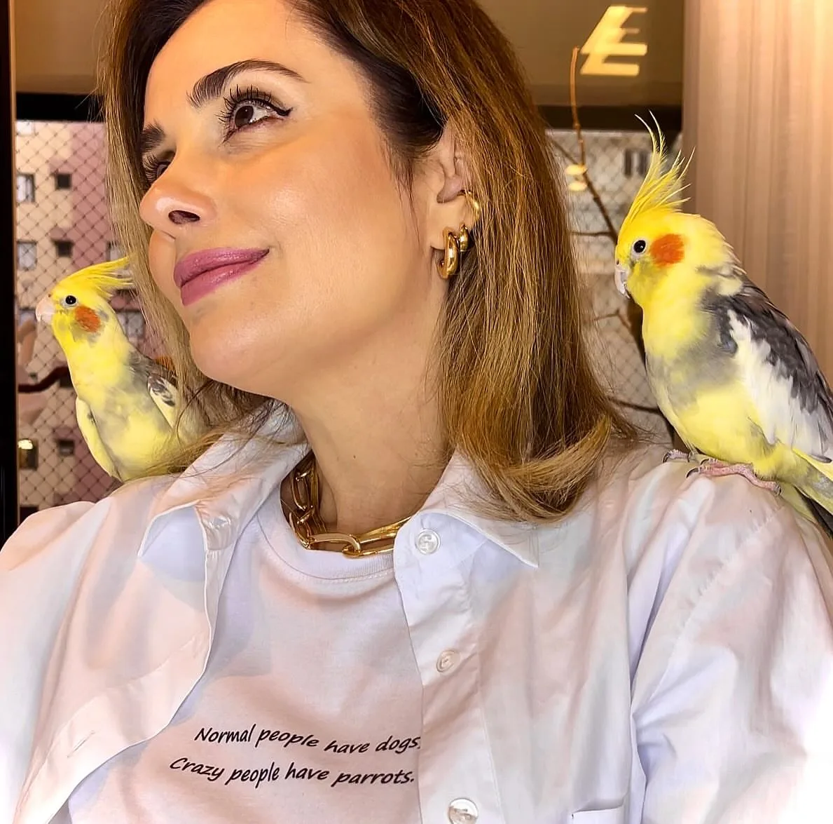 Parrots for Sale in Ohio: Top 15 Vibrant Locations