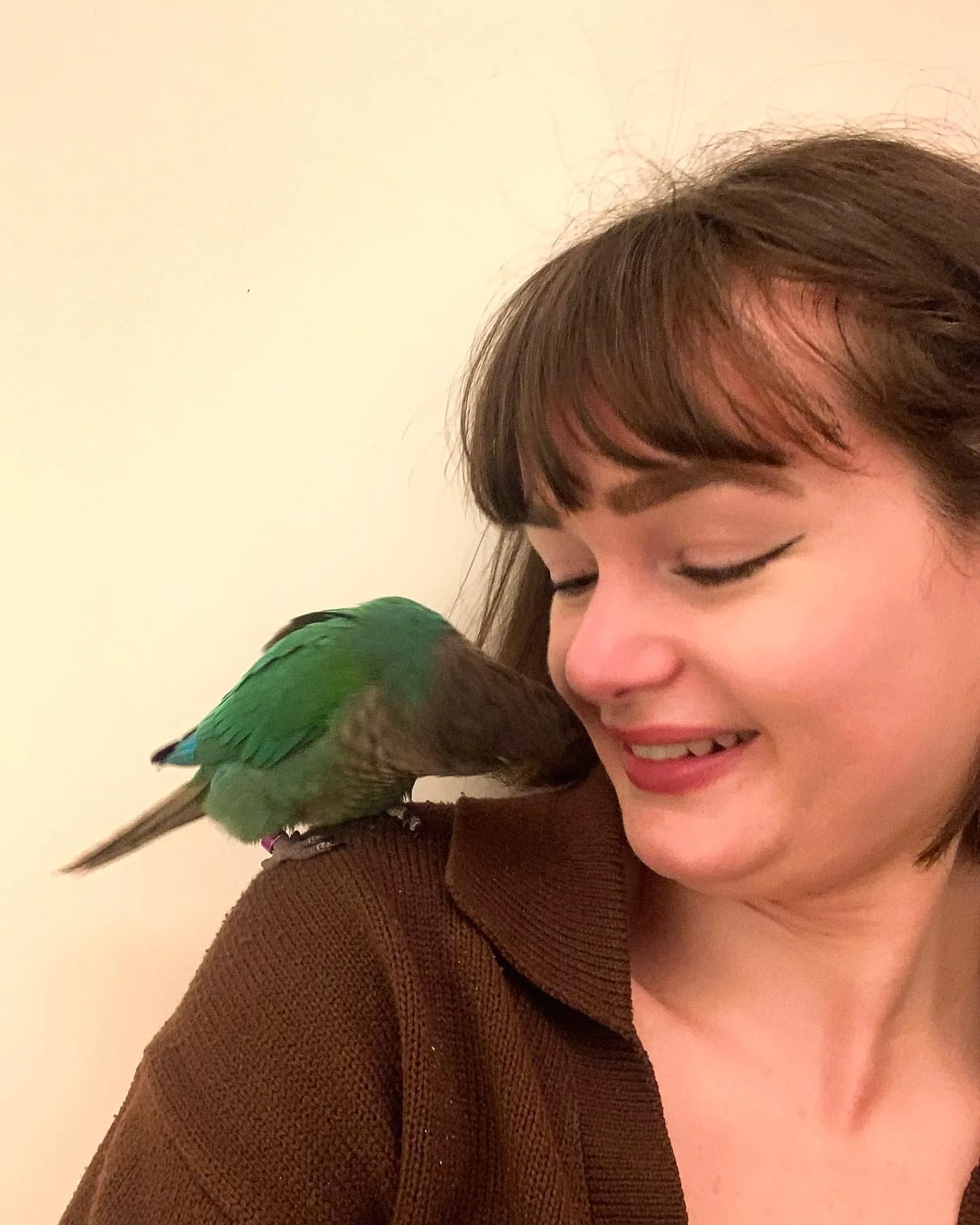 Find the Perfect Bronze Pionus Parrot for Sale: 8 Essential Tips