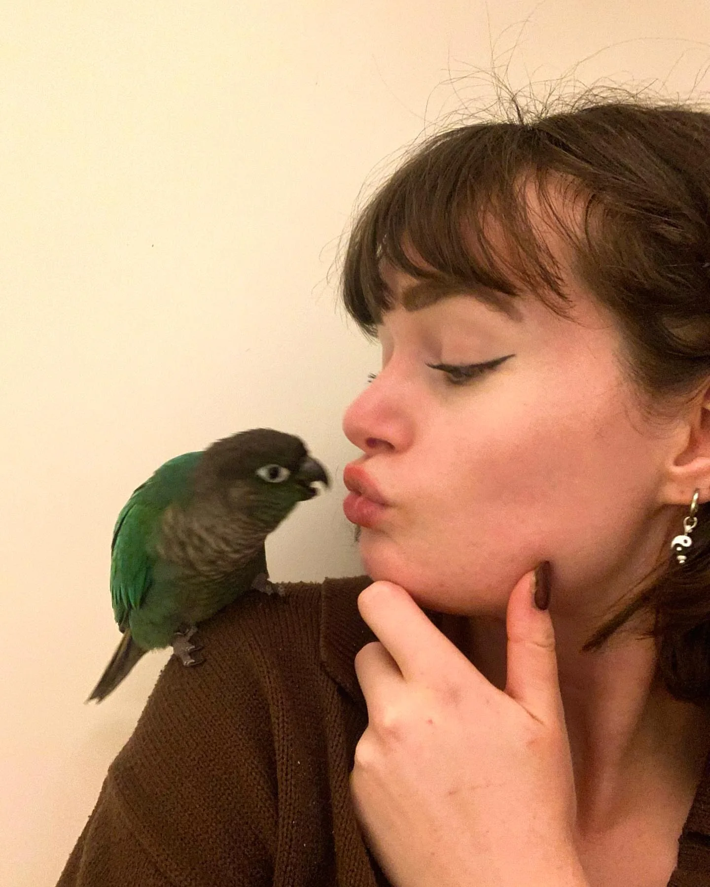 Lutino Indian Ringneck Parrot: 10 Captivating Facts!