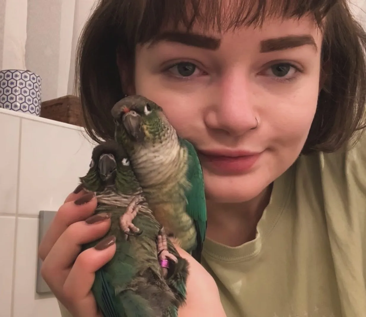 10 Reasons Why Hand Raised Quaker Parrots Are Perfect