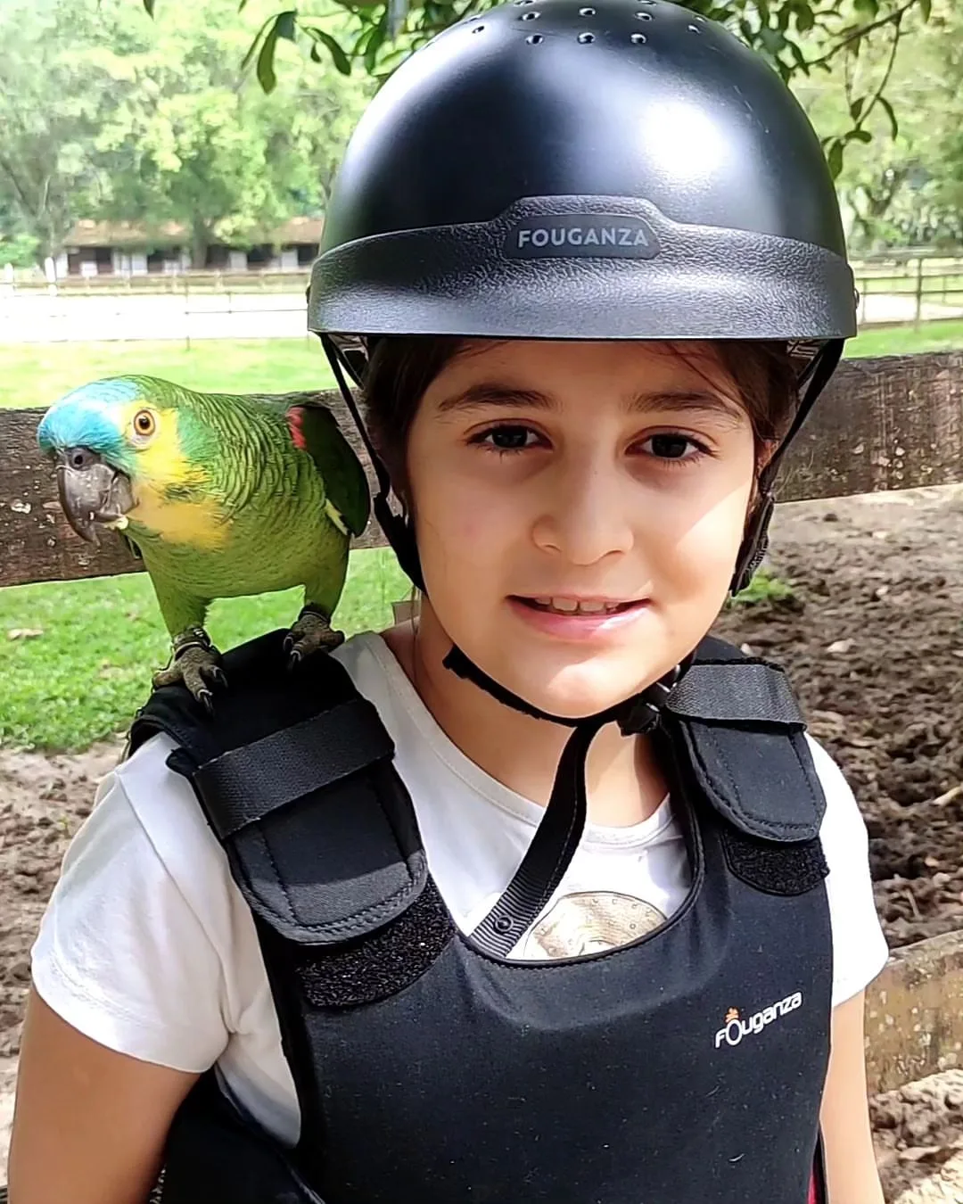 Green Quaker Parrot for Sale: 10 Essential Tips for Buyers