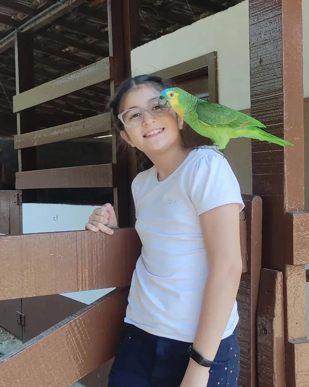 Lutino Quaker Parrots: 10 Surprising Facts You Never Knew